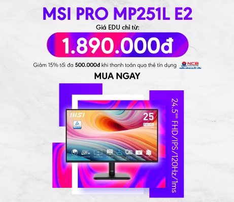 Màn hình MSI Pro MP251L E2