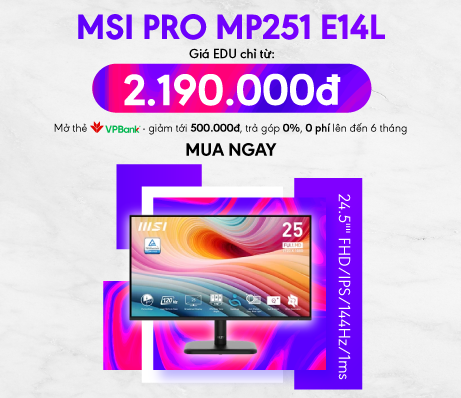 Màn hình MSI PRO MP251 E14L