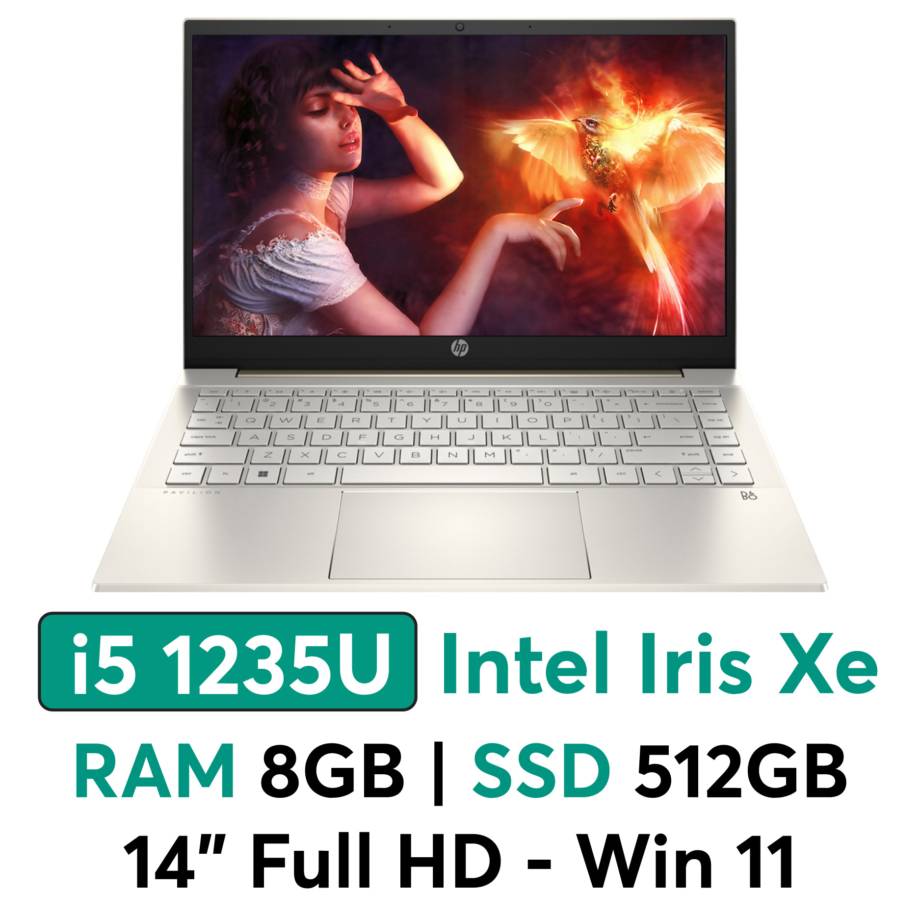 Laptop HP Pavilion 14 dv2074TU-7C0P3PA - Máy cũ, TBH