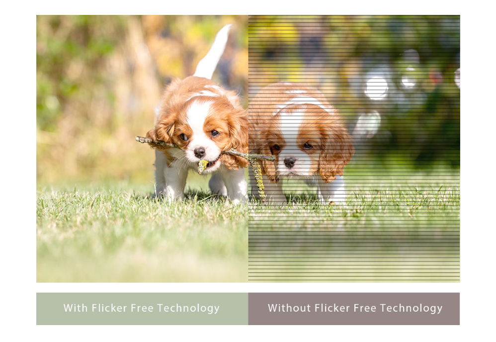 Bộ lọc ánh sáng xanh của ASUS VY279HGE đạt chuẩn chứng nhận bởi TÜV Rheinland