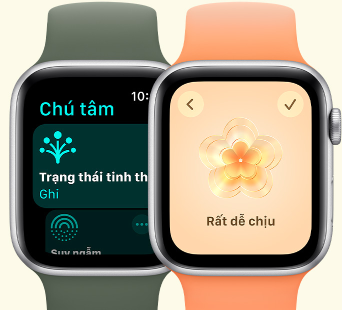 Apple Watch SE 2023 đã tích hợp mới ứng dụng Bài Tập
