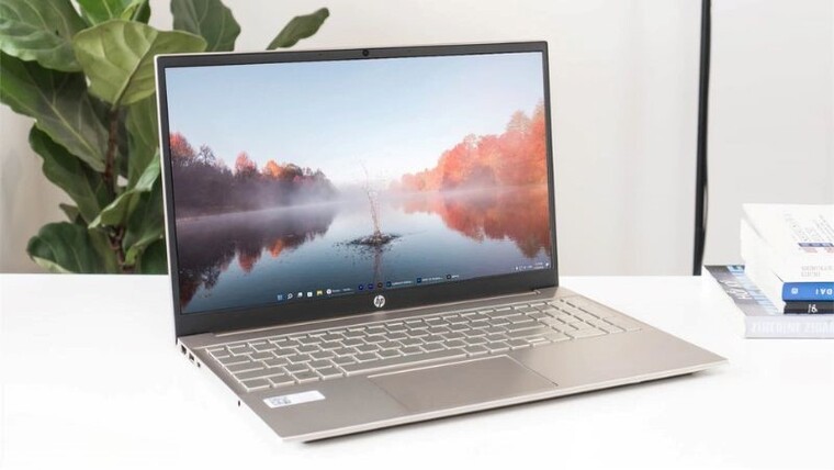 Kích thước 15.6 inch, tấm nền IPS BrightView, Full HD 1920x1080, tần số 60Hz.