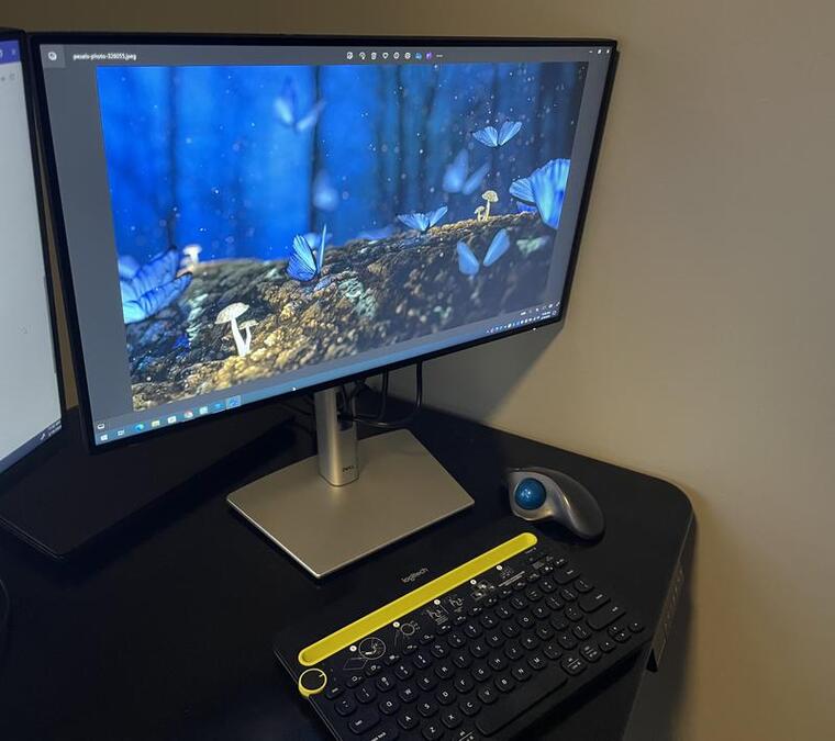 Màn hình Dell UltraSharp 24 (U2424H) - (23.8