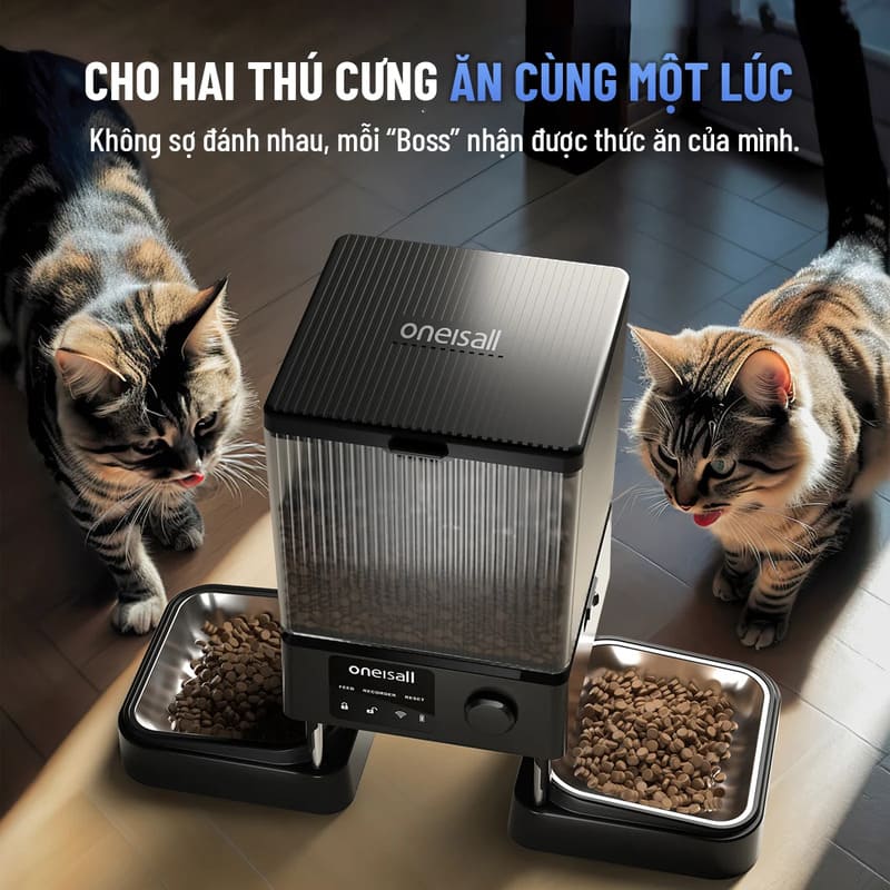 Linh hoạt với nhiều bữa ăn trong ngày, đảm bảo dinh dưỡng đầy đủ cho thú cưng.