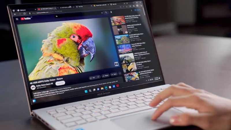 Màn hình OLED kích thước lên tới 14 inch.