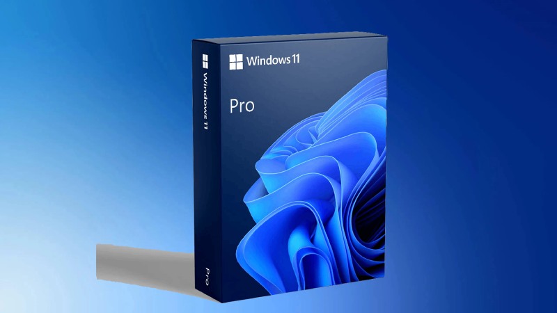 Windows 11 pro chuyên nghiệp.