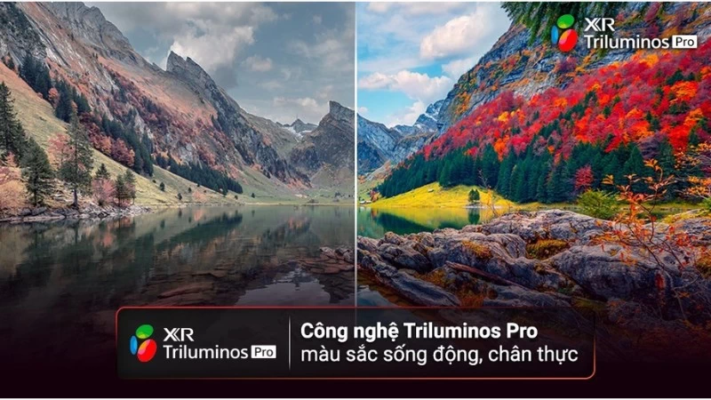 Công nghệ Triluminos Pro. Công nghệ Triluminos Pro.