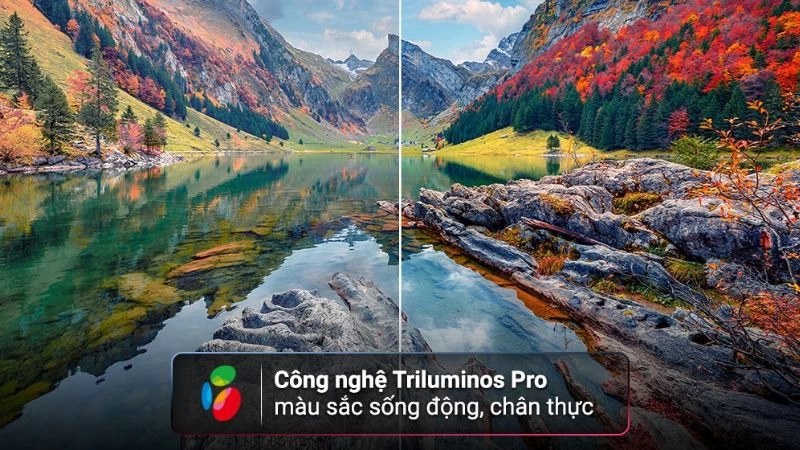Công nghệ Triluminos Pro. Công nghệ Triluminos Pro.