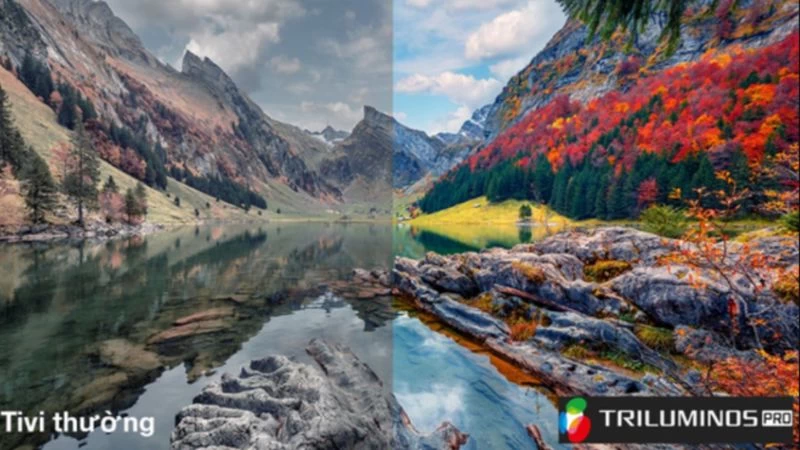 Công nghệ Triluminos Pro. Công nghệ Triluminos Pro.