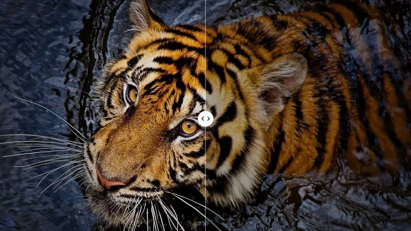 Với độ sáng cao lên tới 3500 nit. Với độ sáng cao lên tới 3500 nit.