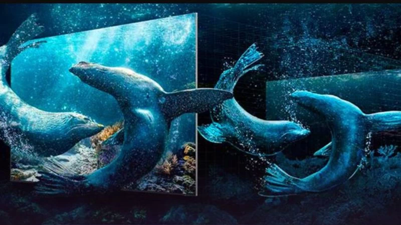 Công nghệ Real Depth Enhancer Pro. Công nghệ Real Depth Enhancer Pro.