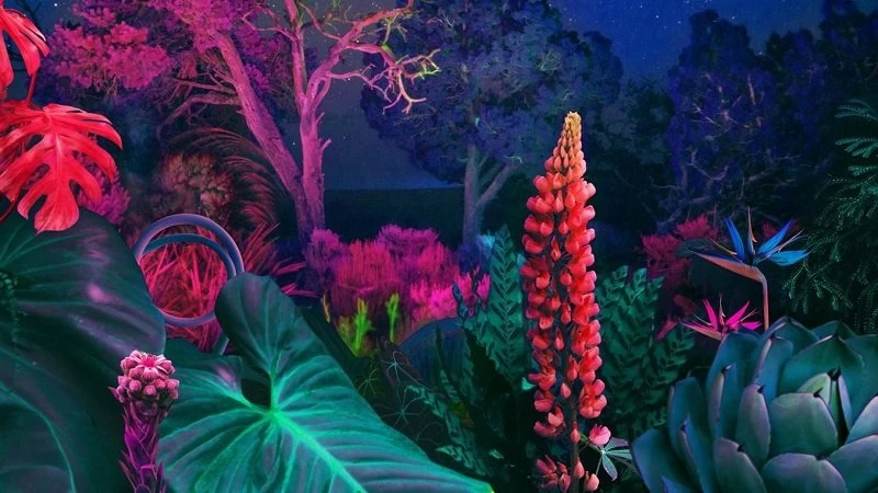 Chất lượng hình ảnh sắc nét. Chất lượng hình ảnh sắc nét.