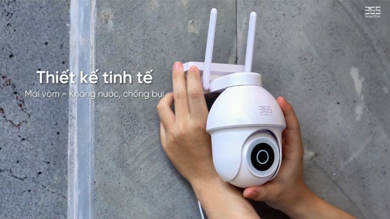 Thương hiệu 365 Selection.