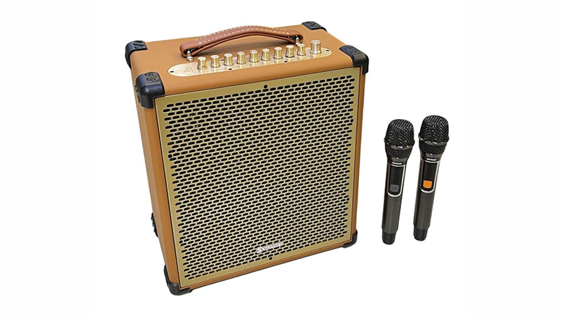 Tích hợp 2 micro không dây.