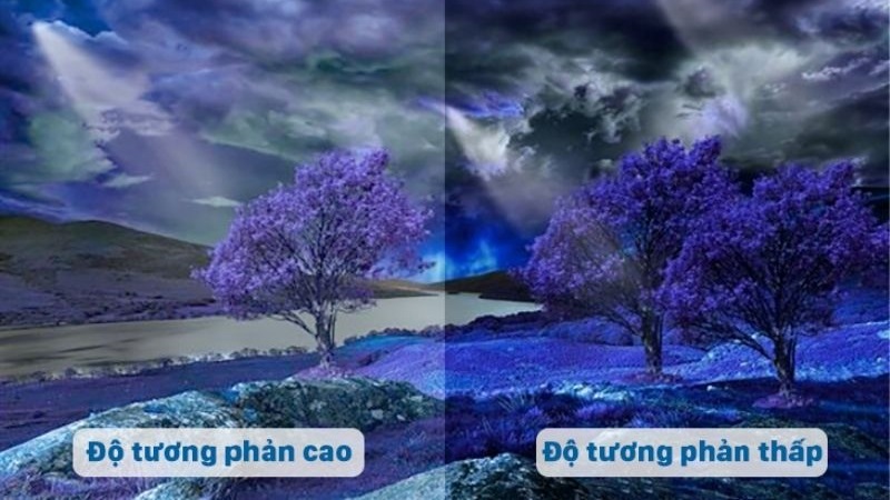 Độ sáng 250cd.