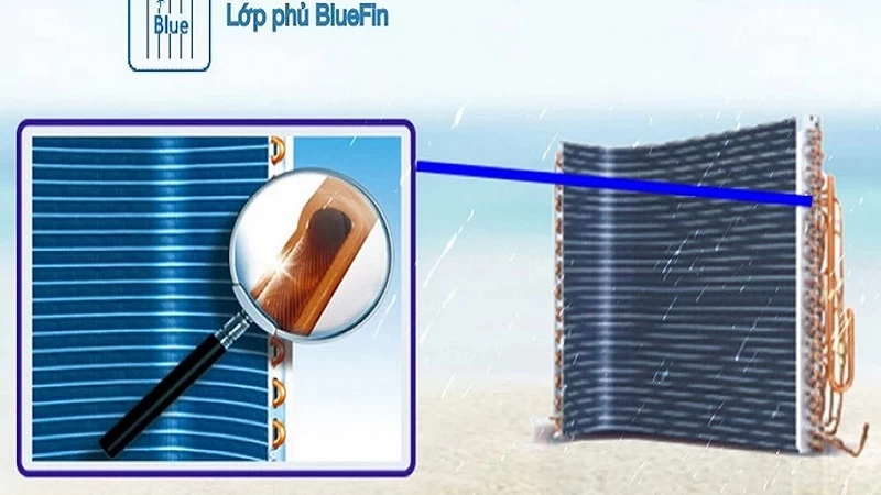 Bảo vệ BlueFin cao cấp. Bảo vệ BlueFin cao cấp.