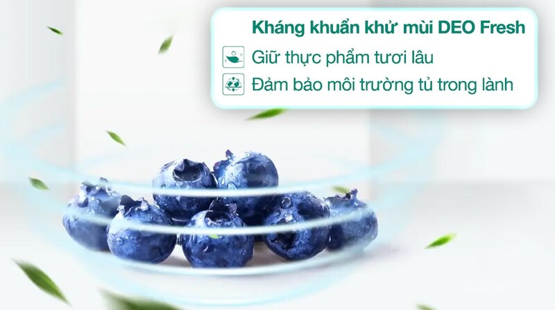Khử mùi DEO Fresh.