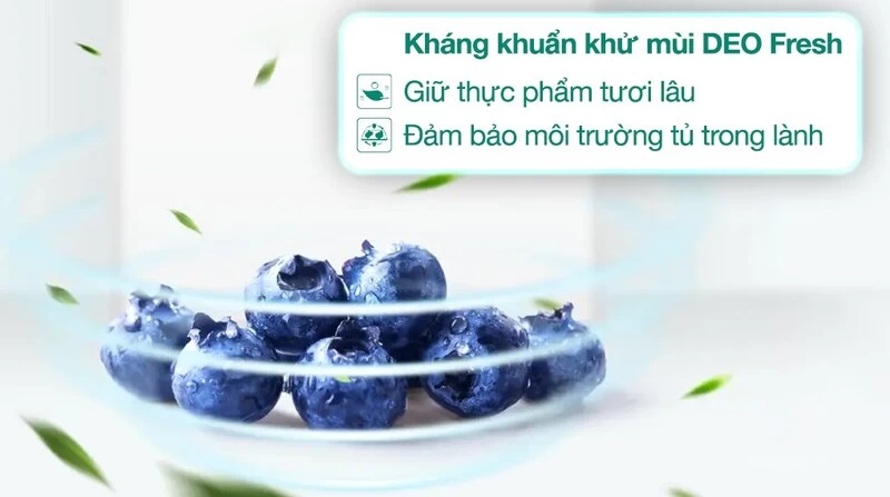 Khử mùi DEO Fresh. Khử mùi DEO Fresh.