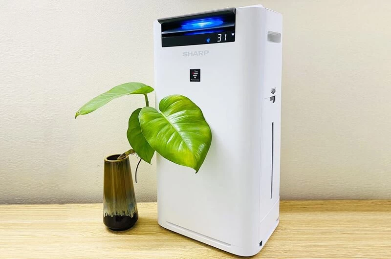 Tiếng ồn thấp. Tiếng ồn thấp.