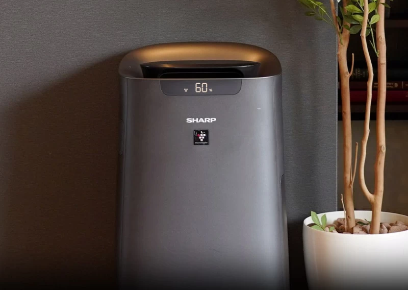 Phù hợp cho không gian phòng rộng lớn. Phù hợp cho không gian phòng rộng lớn.