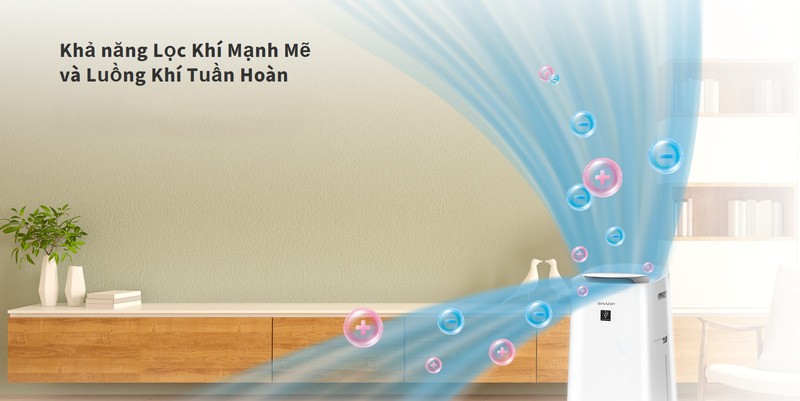 Luồng khí tuần hoàn.