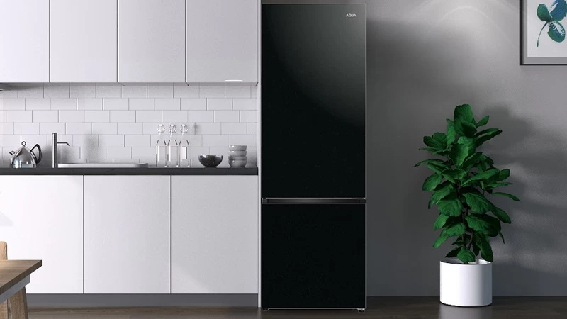 Thiết kế ngăn đá dưới. Thiết kế ngăn đá dưới.