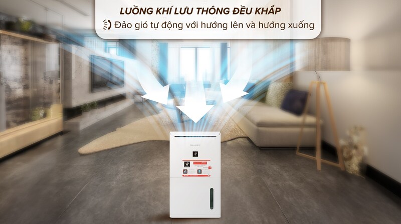 Đa dạng không gian.