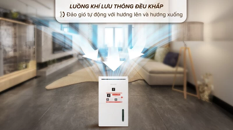 Đa dạng không gian. Đa dạng không gian.