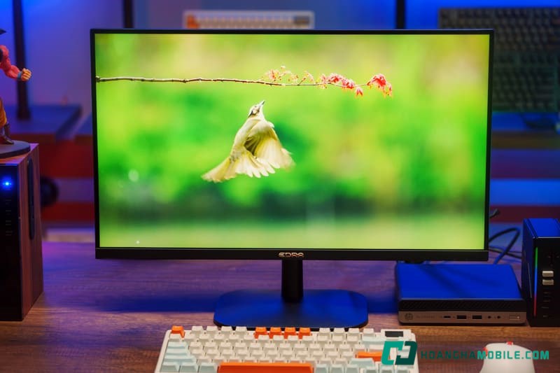 Màn hình EDRA EGM25F180P với kích thước màn hình 24.5 inch - Lựa chọn tối ưu cho gaming và làm việc