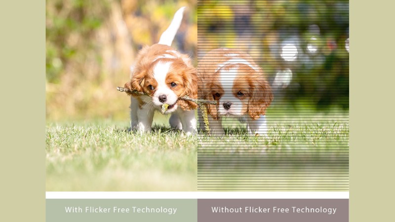 Màn hình ASUS VY279HGR có tính năng Eye Care Plus giúp bảo vệ mắt tối đa Màn hình ASUS VY279HGR có tính năng Eye Care Plus giúp bảo vệ mắt tối đa