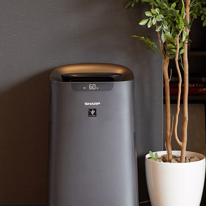 Giá bán tham khảo của máy lọc không khí tạo ẩm SHARP KI-L80V-T