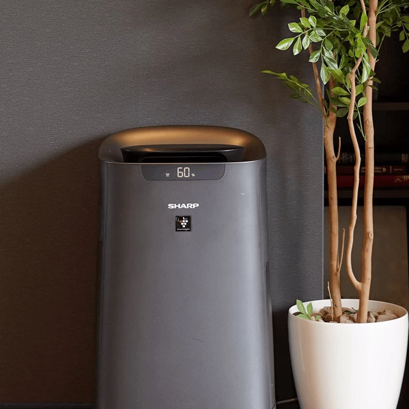 Giá bán tham khảo của máy lọc không khí tạo ẩm SHARP KI-L80V-T Giá bán tham khảo của máy lọc không khí tạo ẩm SHARP KI-L80V-T