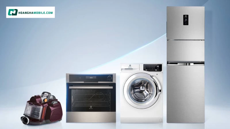 Các dòng sản phẩm tiêu biểu của thương hiệu Electrolux Các dòng sản phẩm tiêu biểu của thương hiệu Electrolux