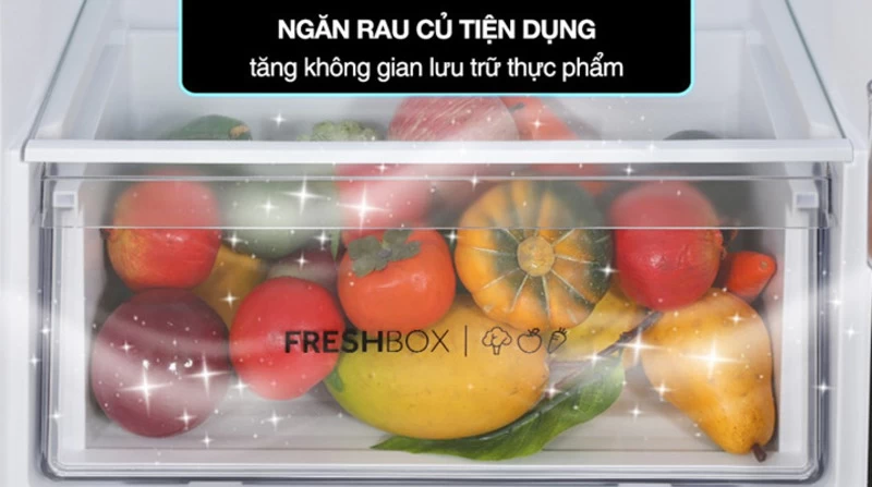 Aqua Inverter 189 lít AQR-T220FA(FB) với công suất tiêu thụ và thiết kế chất liệu cao cấp độ bền lâu dài Aqua Inverter 189 lít AQR-T220FA(FB) với công suất tiêu thụ và thiết kế chất liệu cao cấp độ bền lâu dài