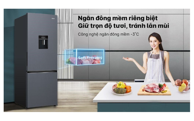 Aqua Inverter 292 lít AQR-B360MA(WSL) có công nghệ tiết kiệm điện sử dụng Twin Inverter