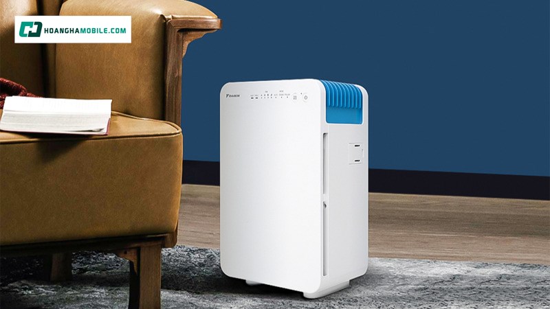 Diện tích hoạt động rộng rãi. Diện tích hoạt động rộng rãi.