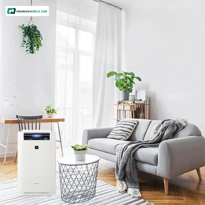 Tạo ẩm tự nhiên và an toàn. Tạo ẩm tự nhiên và an toàn.