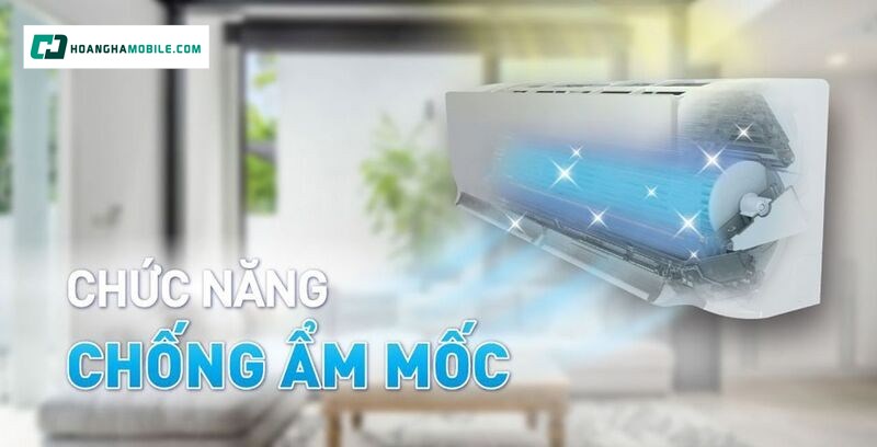 Đa dạng chức năng chống ẩm mốc. Đa dạng chức năng chống ẩm mốc.