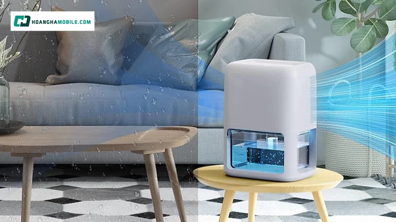 Mẫu mã sản phẩm dành cho nhu cầu sức khỏe. Mẫu mã sản phẩm dành cho nhu cầu sức khỏe.