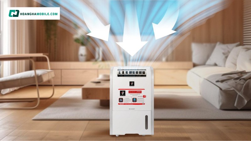 Đảm bảo tình trạng không khí luôn khô thoáng. Đảm bảo tình trạng không khí luôn khô thoáng.