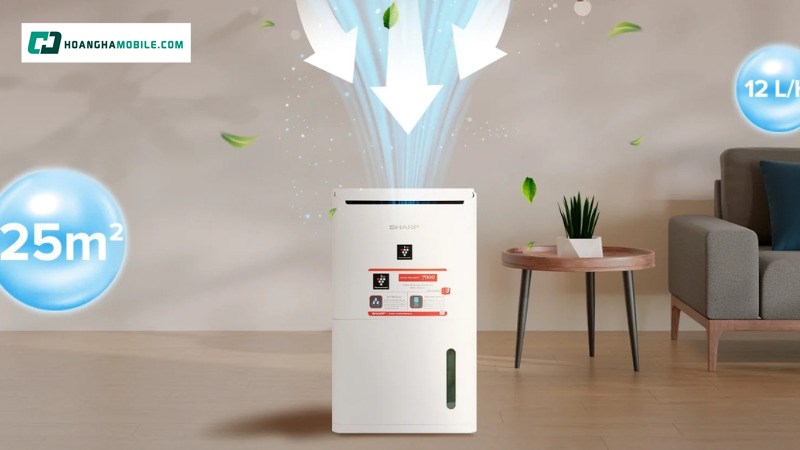 Đa dạng mẫu mã sản phẩm phù hợp không gian. Đa dạng mẫu mã sản phẩm phù hợp không gian.