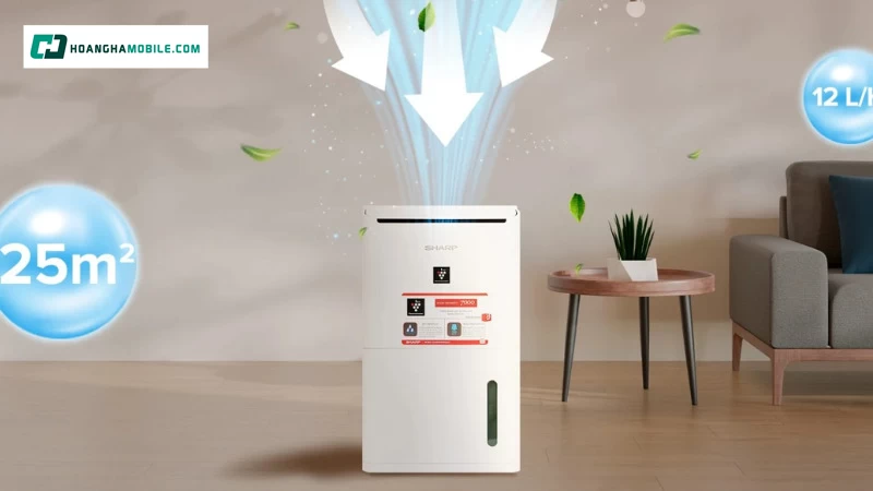 Đa dạng mẫu mã sản phẩm phù hợp không gian. Đa dạng mẫu mã sản phẩm phù hợp không gian.