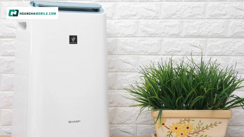 Phân khúc công suất nhỏ giá rẻ. Phân khúc công suất nhỏ giá rẻ.