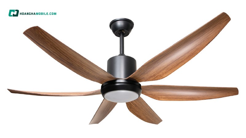 Sản phẩm quạt phân khúc giá rẻ. Sản phẩm quạt phân khúc giá rẻ.