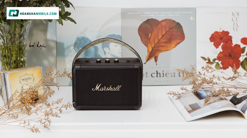 Hệ sinh thái sản phẩm âm thanh hoàn chỉnh. Hệ sinh thái sản phẩm âm thanh hoàn chỉnh.