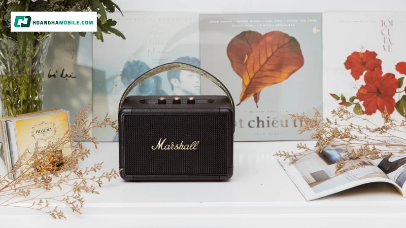 Hệ sinh thái sản phẩm âm thanh hoàn chỉnh. Hệ sinh thái sản phẩm âm thanh hoàn chỉnh.