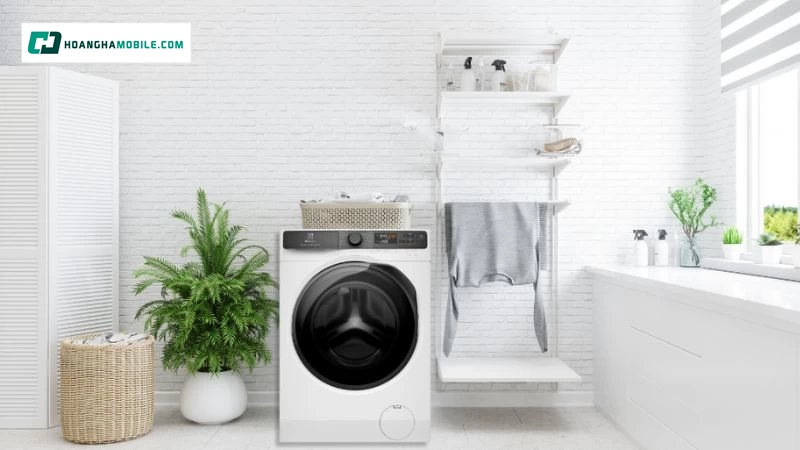 Thiết kế trẻ trung Thiết kế trẻ trung