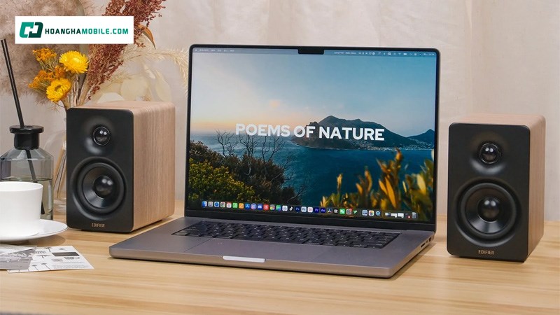 Chuyên sản xuất loa máy tính và các thiết bị âm thanh gia đình. Chuyên sản xuất loa máy tính và các thiết bị âm thanh gia đình.