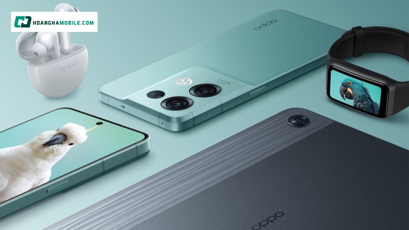 Đa dạng mẫu mã sản phẩm. Đa dạng mẫu mã sản phẩm.