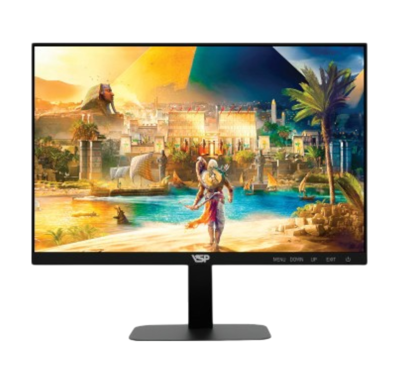 Màn hình VSP IP2205F